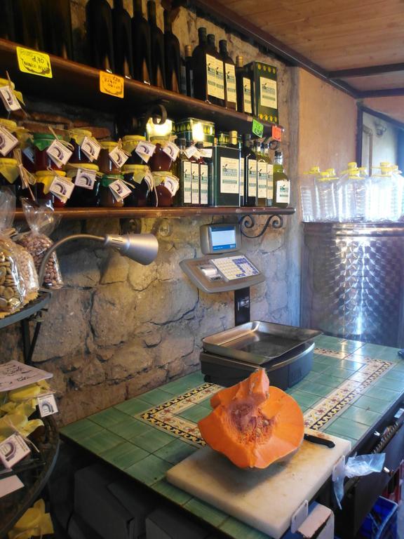 カステル・ガンドルフォ Casale Degli Archiヴィラ エクステリア 写真